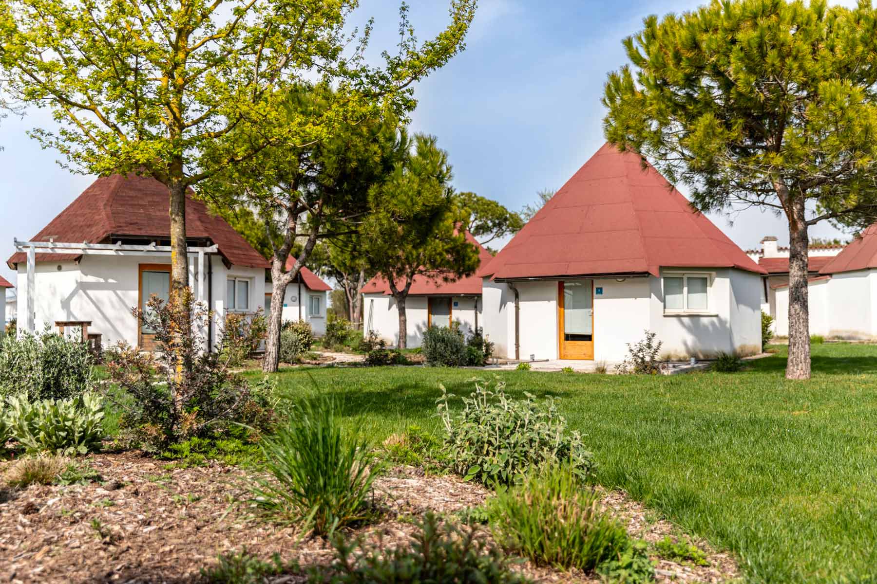 Oasi di relax tra gli alberi