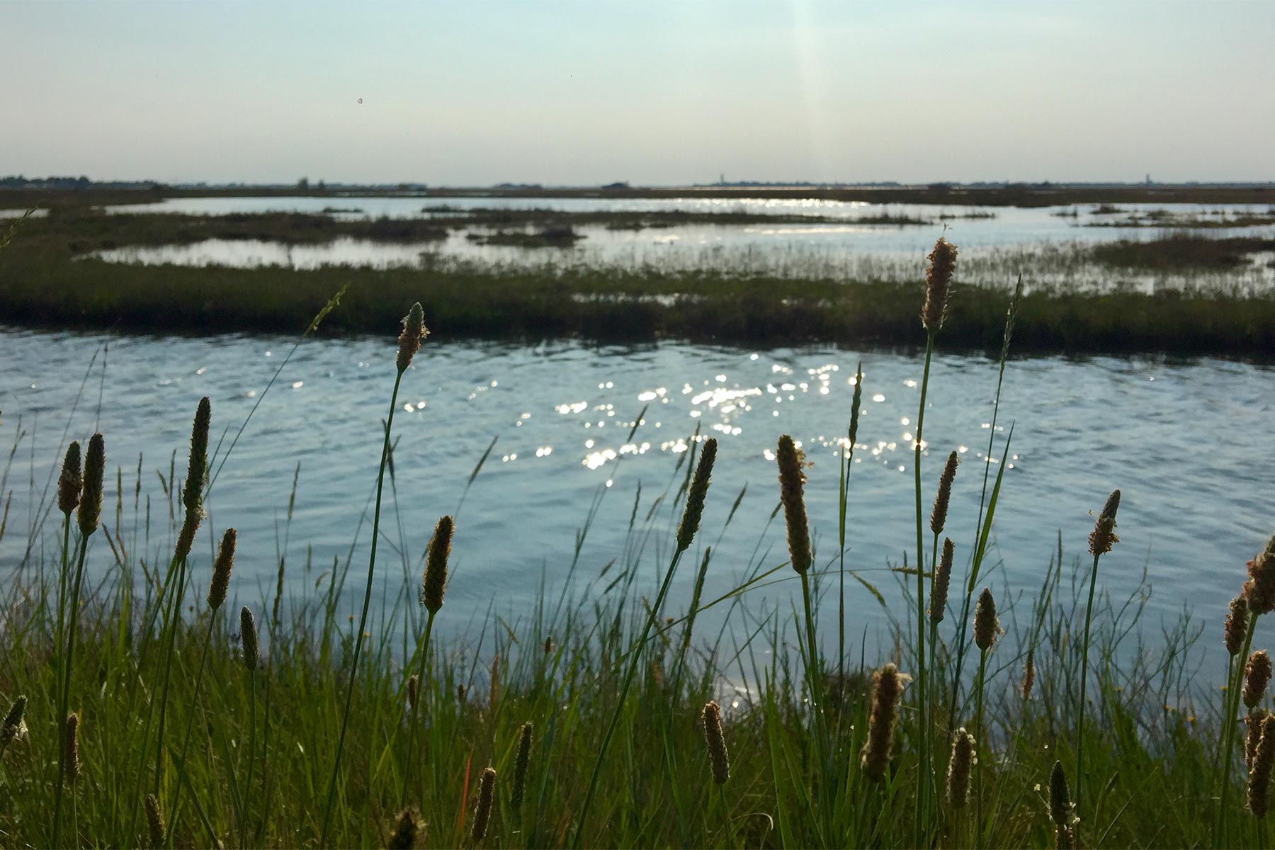 Natura incontaminata, paesaggi mozzafiato